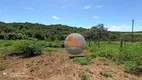 Foto 15 de Fazenda/Sítio com 2 Quartos à venda, 230000m² em Zona Rural, Hidrolândia