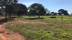 Foto 4 de Fazenda/Sítio à venda, 17000m² em Zona Rural, Buritis