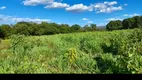 Foto 4 de Fazenda/Sítio à venda em Centro, Buritis