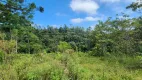 Foto 55 de Fazenda/Sítio com 5 Quartos à venda, 435600m² em Campo Alto, Tijucas do Sul