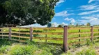 Foto 30 de Fazenda/Sítio com 3 Quartos à venda, 10000m² em Centro, Aragoiânia