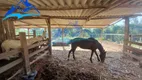 Foto 17 de Fazenda/Sítio com 1 Quarto à venda, 10000m² em Centro, Mairinque