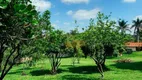 Foto 15 de Fazenda/Sítio com 6 Quartos à venda, 800m² em Batovi, Rio Claro