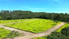 Foto 14 de Fazenda/Sítio à venda, 1000m² em Area Rural de Sabara, Sabará