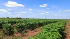 Foto 4 de Fazenda/Sítio com 3 Quartos à venda, 25000m² em Zona Rural, Touros