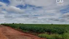 Foto 7 de Fazenda/Sítio à venda, 100000m² em Parque dos Ipês, Holambra