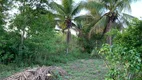 Foto 10 de Fazenda/Sítio com 3 Quartos à venda, 1500m² em , Santo Amaro