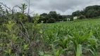 Foto 12 de Lote/Terreno à venda, 20000m² em Centro, Fortuna de Minas