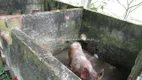 Foto 33 de Fazenda/Sítio com 3 Quartos à venda, 120000m² em Guapiaçu, Cachoeiras de Macacu