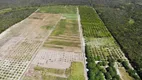 Foto 2 de Fazenda/Sítio com 2 Quartos à venda, 8000000m² em Morro Branco, Beberibe