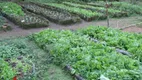 Foto 35 de Fazenda/Sítio com 4 Quartos à venda, 190000m² em Papucaia, Cachoeiras de Macacu