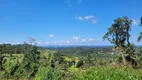 Foto 9 de Fazenda/Sítio à venda, 40000m² em Rio Vermelho Estação, São Bento do Sul