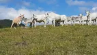 Foto 90 de Fazenda/Sítio com 3 Quartos à venda, 1790000m² em Zona Rural, Natividade da Serra