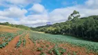 Foto 13 de Fazenda/Sítio com 1 Quarto à venda, 72600m² em Tindiquera, Araucária