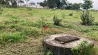 Foto 5 de Lote/Terreno à venda, 5000m² em Chácaras Primavera, São Pedro