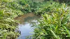 Foto 11 de Fazenda/Sítio à venda, 20050m² em Bateias, Campo Largo