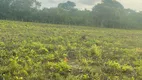 Foto 10 de Fazenda/Sítio com 4 Quartos à venda, 106000000m² em Area Rural de Timon, Timon