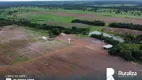 Foto 10 de Fazenda/Sítio à venda, 242m² em Zona Rural, Cristalândia