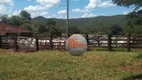 Foto 19 de Fazenda/Sítio com 2 Quartos à venda, 5324000m² em Zona Rural, Faina