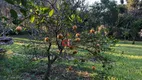 Foto 13 de Fazenda/Sítio com 2 Quartos à venda, 220m² em Jutuba, Iperó