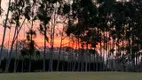 Foto 3 de Fazenda/Sítio com 3 Quartos à venda, 200m² em Zona Rural, Sarapuí