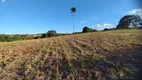 Foto 13 de Fazenda/Sítio à venda, 48000m² em Zona Rural, São Miguel do Passa Quatro