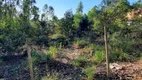 Foto 3 de Lote/Terreno para venda ou aluguel, 1000m² em , Itatiaiuçu