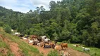 Foto 22 de Fazenda/Sítio à venda, 260000m² em Zona Rural, Delfim Moreira