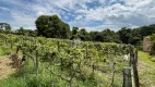 Foto 23 de Fazenda/Sítio com 9 Quartos à venda, 15000m² em Traviú, Jundiaí