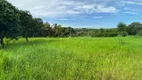 Foto 8 de Fazenda/Sítio com 2 Quartos à venda, 470m² em Pouso Alegre de Baixo, Jaú