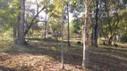 Foto 10 de Fazenda/Sítio com 3 Quartos à venda, 13000m² em Campo Largo da Roseira, São José dos Pinhais