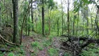 Foto 3 de Fazenda/Sítio com 1 Quarto à venda, 18270m² em Linha Avila, Gramado