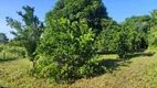 Foto 14 de Fazenda/Sítio com 2 Quartos à venda, 100000m² em Zona Rural, Glória do Goitá