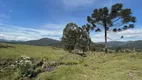 Foto 13 de Fazenda/Sítio à venda, 30000m² em São José, Urubici