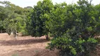 Foto 6 de Fazenda/Sítio com 2 Quartos à venda, 3000m² em Vila Sao Joao, Senador Canedo