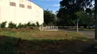 Foto 2 de Lote/Terreno à venda, 302m² em Mansorur, Uberlândia