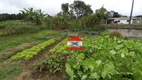 Foto 4 de Fazenda/Sítio com 3 Quartos à venda, 200m² em Verava, Ibiúna