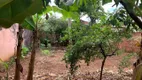 Foto 6 de Lote/Terreno à venda, 250m² em Vila Sônia, Piracicaba