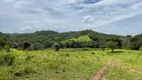 Foto 10 de Fazenda/Sítio com 2 Quartos à venda, 271000m² em Zona Rural, Santa Cruz de Goiás