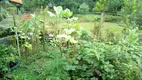 Foto 22 de Fazenda/Sítio com 5 Quartos à venda, 4000m² em , Cachoeiras de Macacu