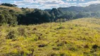 Foto 7 de Fazenda/Sítio à venda, 2000m² em Criúva, Caxias do Sul