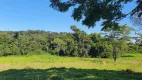 Foto 4 de Lote/Terreno à venda, 20000m² em Zona Rural, São Gonçalo do Pará