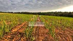 Foto 9 de Fazenda/Sítio à venda, 2770000m² em Zona Rural, Varjão de Minas