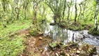 Foto 19 de Fazenda/Sítio à venda, 150000m² em Centro, São Joaquim