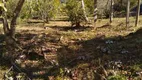 Foto 2 de Fazenda/Sítio com 4 Quartos à venda, 3100m² em Zona Rural, Monteiro Lobato