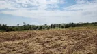 Foto 6 de Lote/Terreno à venda, 25000m² em Campestre, Piracicaba