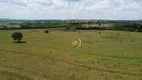 Foto 8 de Fazenda/Sítio à venda, 32912000m² em Zona Rural, Doverlândia