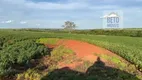 Foto 5 de Fazenda/Sítio à venda, 3291200m² em Zona Rural, Uberlândia