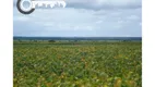 Foto 3 de Fazenda/Sítio com 4 Quartos à venda, 12000000m² em Zona Rural, Primavera do Leste