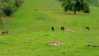 Foto 43 de Fazenda/Sítio à venda em Sambe, Rio Bonito